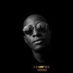 Senator Nonso - Best Digital Marketer In Nigeria